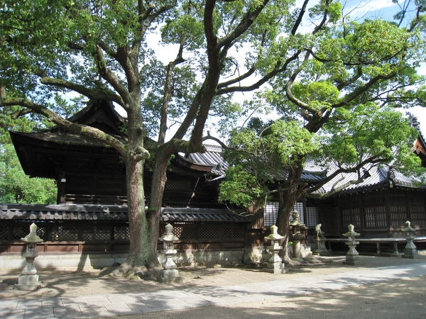 d0287413_1342877.jpg