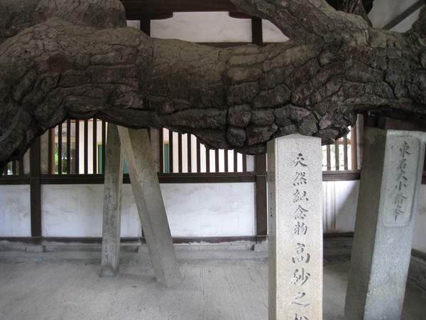 d0287413_1347185.jpg