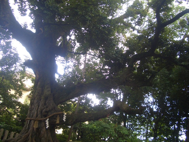 e0033713_10512303.jpg