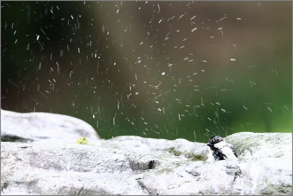 雨降ってるのに・・_f0221514_16202314.jpg