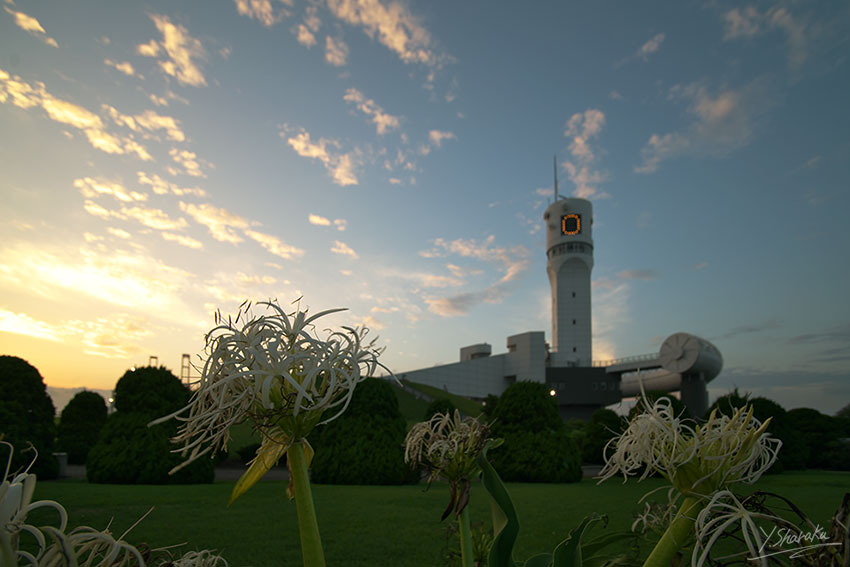 横浜港シンボルタワーの夕景とダイヤモンド・プリンセスNo1_f0344614_13233394.jpg