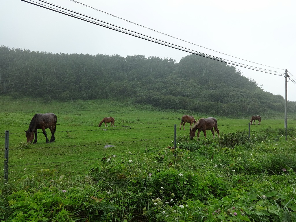 帰青2014夏 【8/24_25】 バスで到着～六ヶ所経由下北周遊_f0112015_21583579.jpg