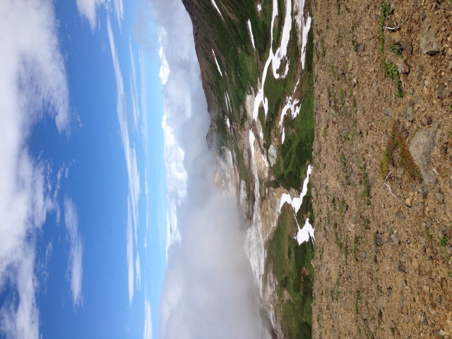 d0168417_23230532.jpg