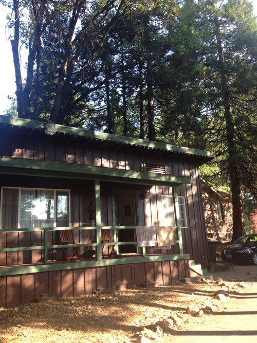 2014マウントシャスタ再訪の旅 その2_f0095325_3124384.jpg
