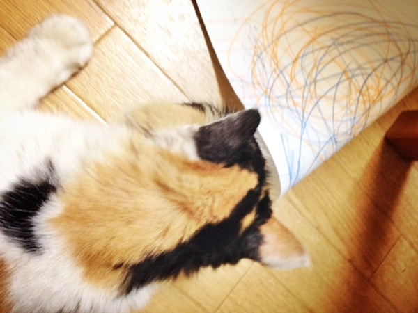 モジャ子通信_b0172633_1024627.jpg
