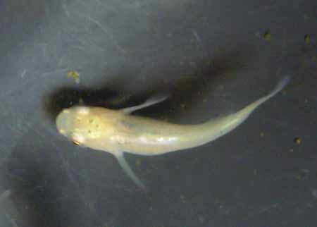 e0097534_1583916.jpg