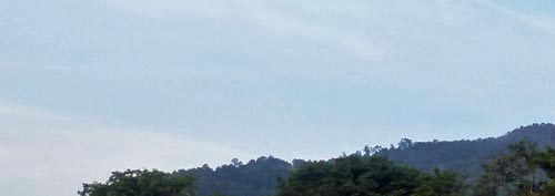 b0063436_9251820.jpg