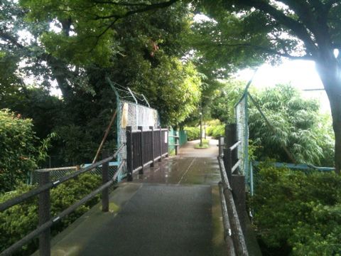 花の通学路、武蔵川公園(武蔵野市)(9月1日)_e0213636_16211145.jpg