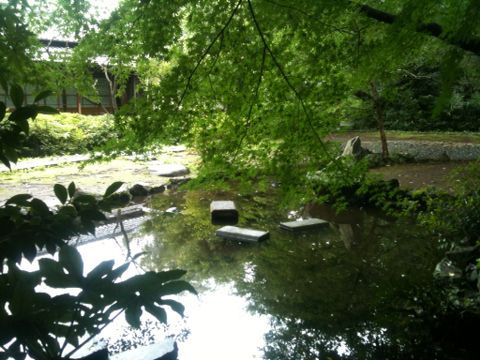 サンヴァリエ桜堤(古瀬公園、仙川水辺公園、境橋公園など)(武蔵野市)(9