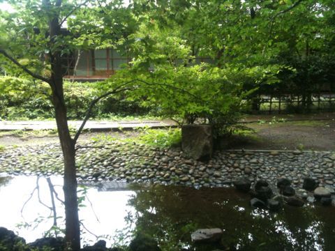 サンヴァリエ桜堤(古瀬公園、仙川水辺公園、境橋公園など)(武蔵野市)(9