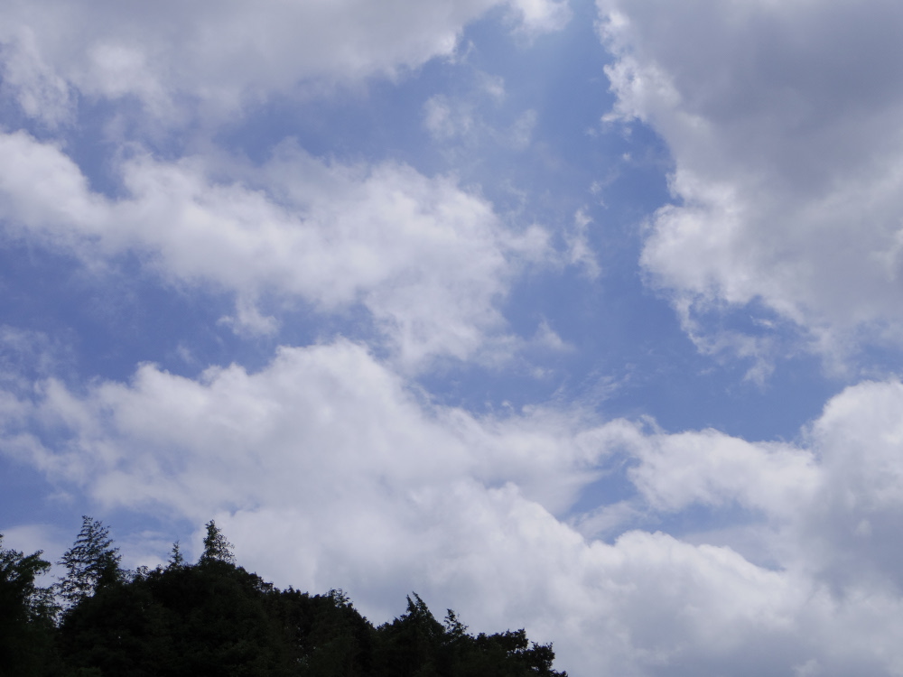 c0307941_20541312.jpg