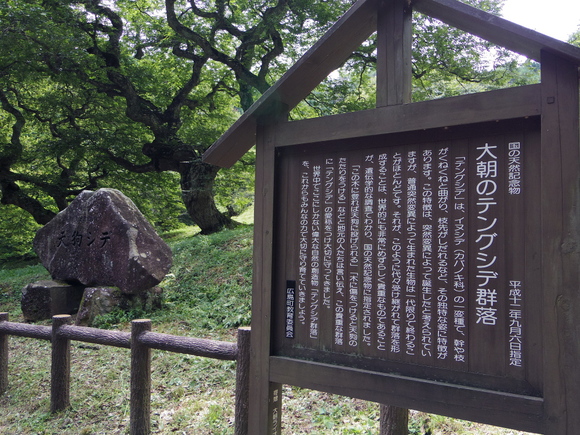 c0307941_21005.jpg