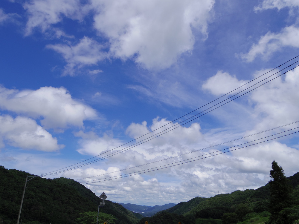 c0307941_21909.jpg