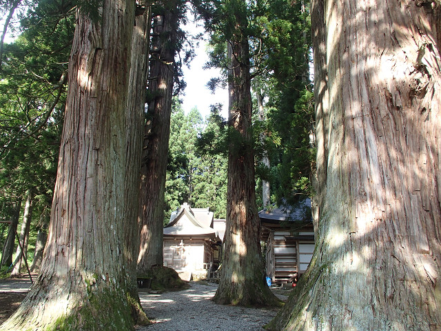 「白馬　みねかたスキー場　嶺方諏訪神社」_f0065341_935194.jpg