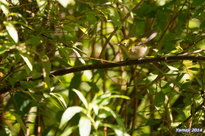 f0194048_04262779.jpg