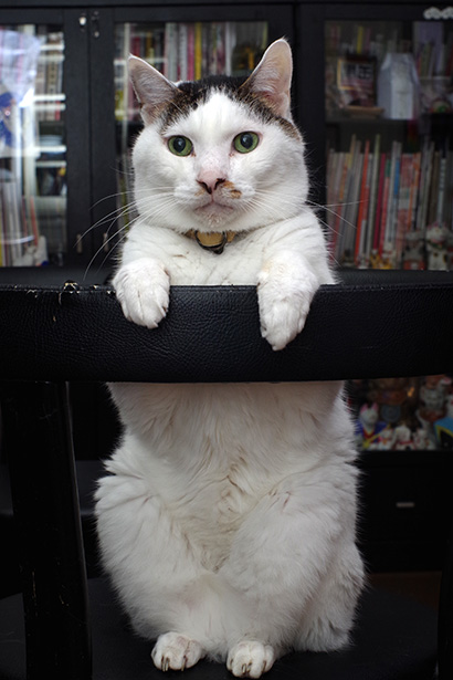 2つの手って_a0028451_13255535.jpg
