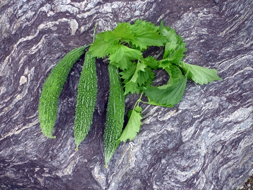 c0222861_20493036.jpg