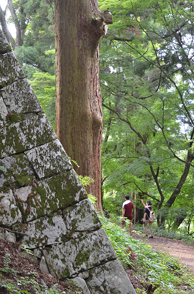 大和 壺坂みち―高取城跡―_e0164563_11111846.jpg