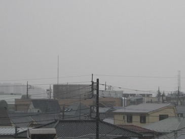 親子の気持ちの差_f0291565_1528260.jpg