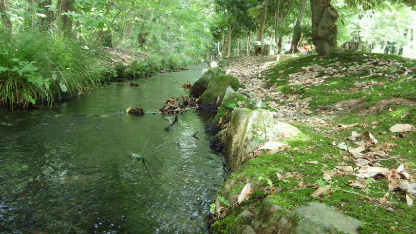 b0300769_2048503.jpg