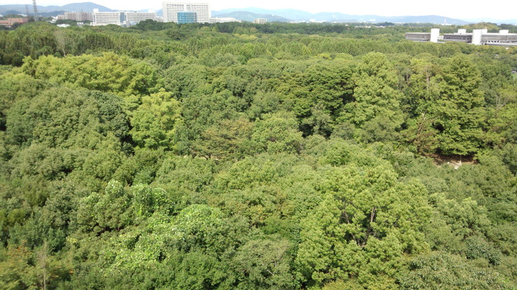 b0300769_2174149.jpg