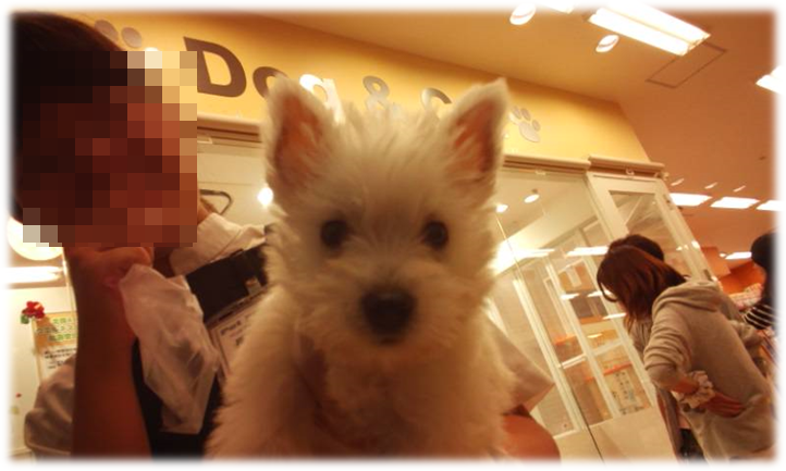 b0242873_23575992.png