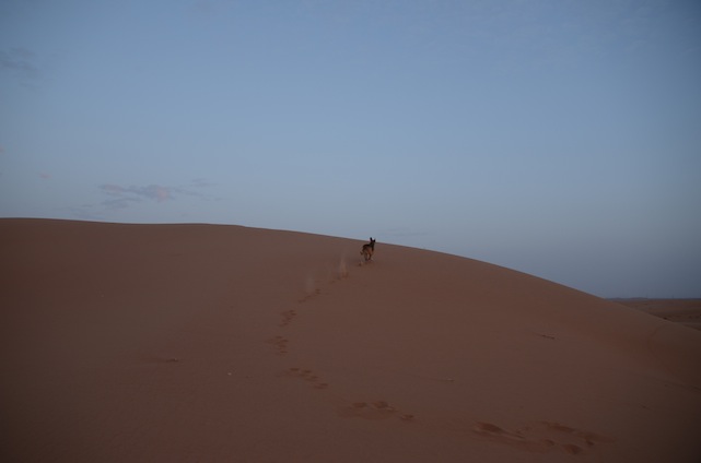 e0066474_05608.jpg