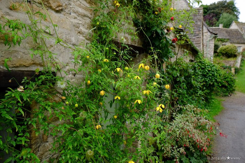 a0142976_831066.jpg