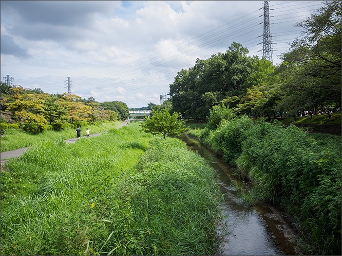 赤塚植物園＆野川へ_a0161380_9818.jpg