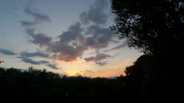 c0212083_21475136.jpg