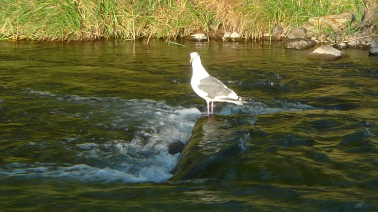 c0212083_22073737.jpg