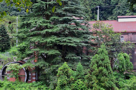c0229483_874087.jpg