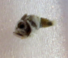 e0049286_08562020.jpg