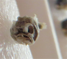 e0049286_08562604.jpg