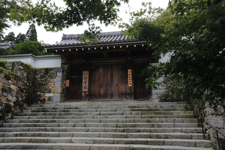 三千院_e0051888_602199.jpg