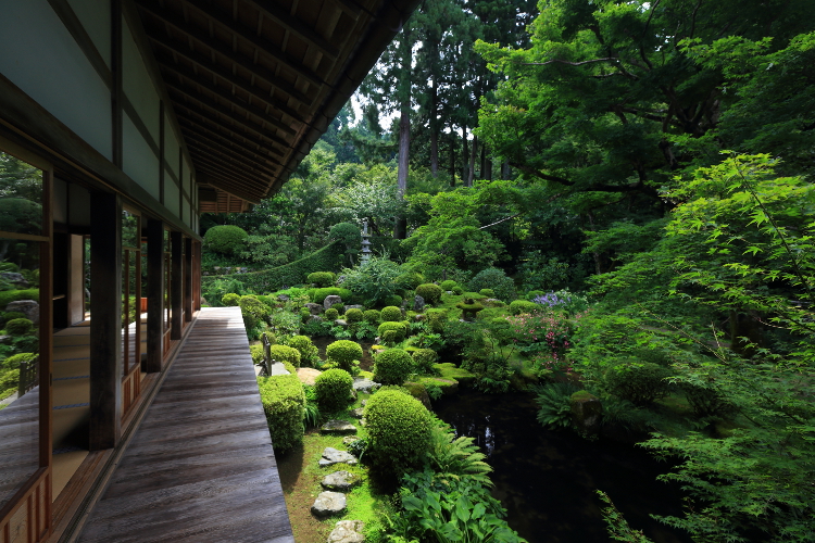 三千院_e0051888_60836.jpg