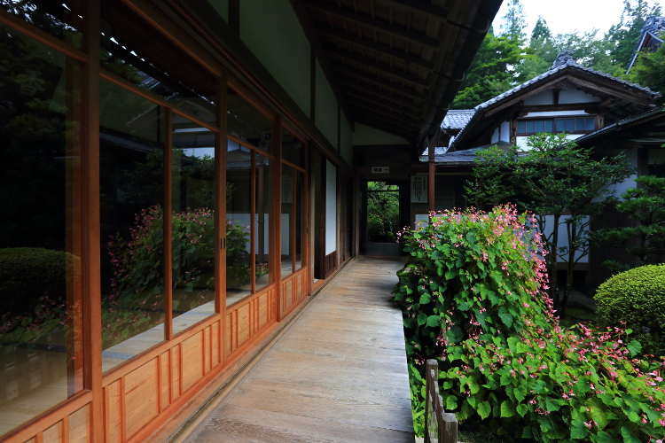 三千院_e0051888_61567.jpg