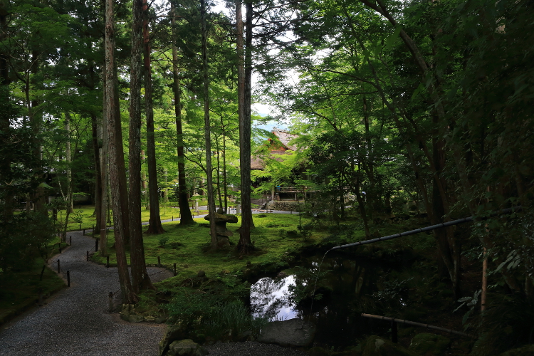三千院_e0051888_624760.jpg