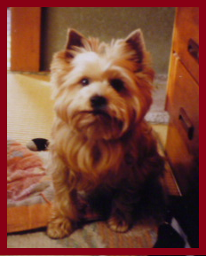 d0282395_14474271.png