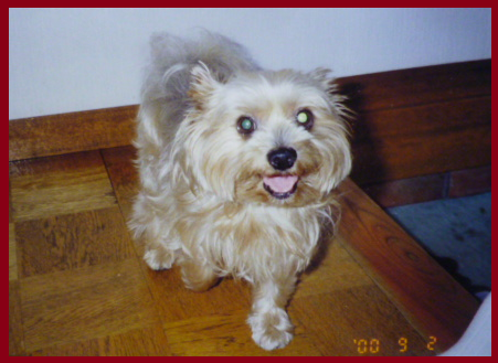 d0282395_1448631.png