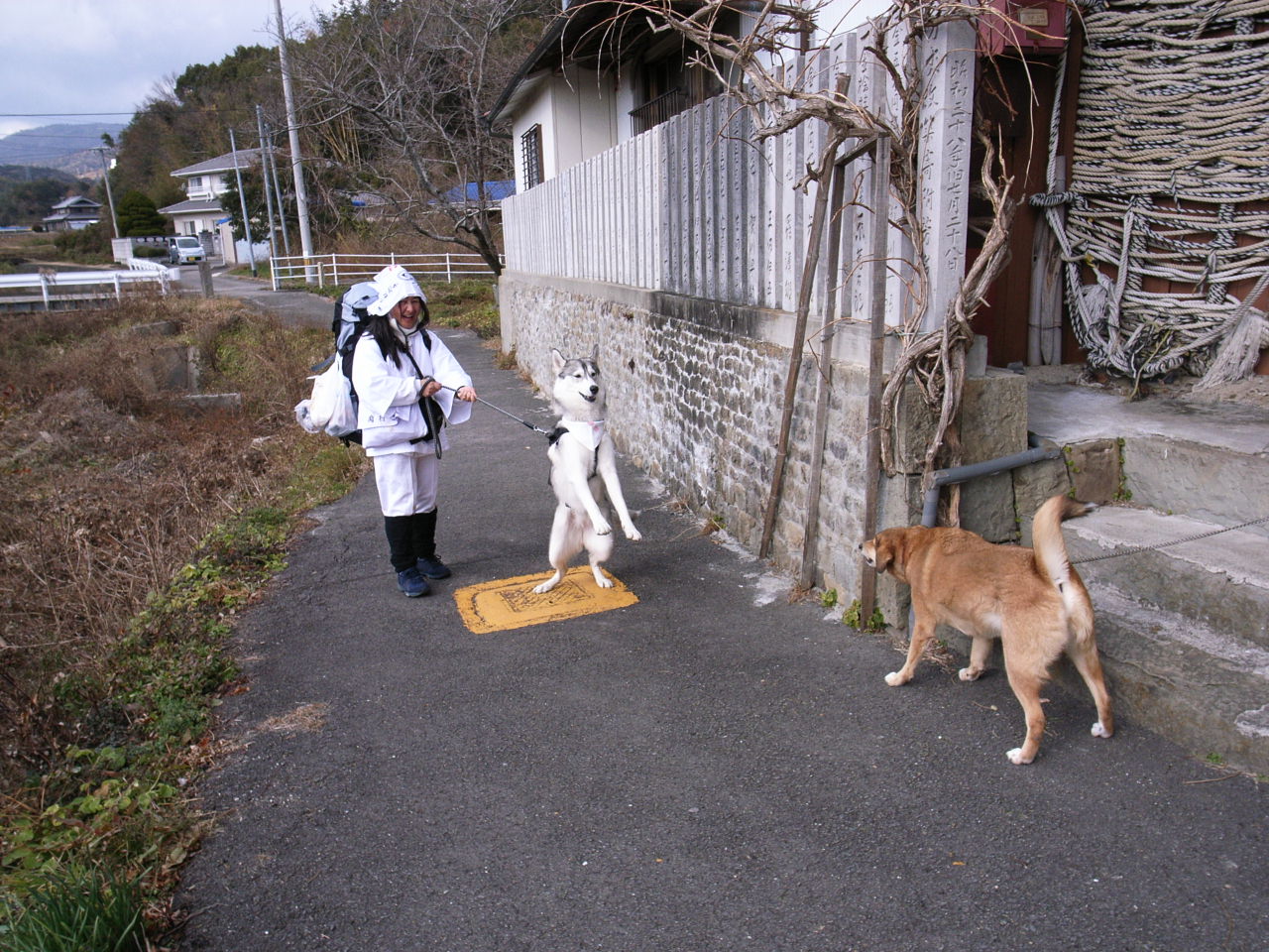 Shikoku Pilgrimage with Hana2,  Dec.26th 2005_c0049299_20444623.jpg