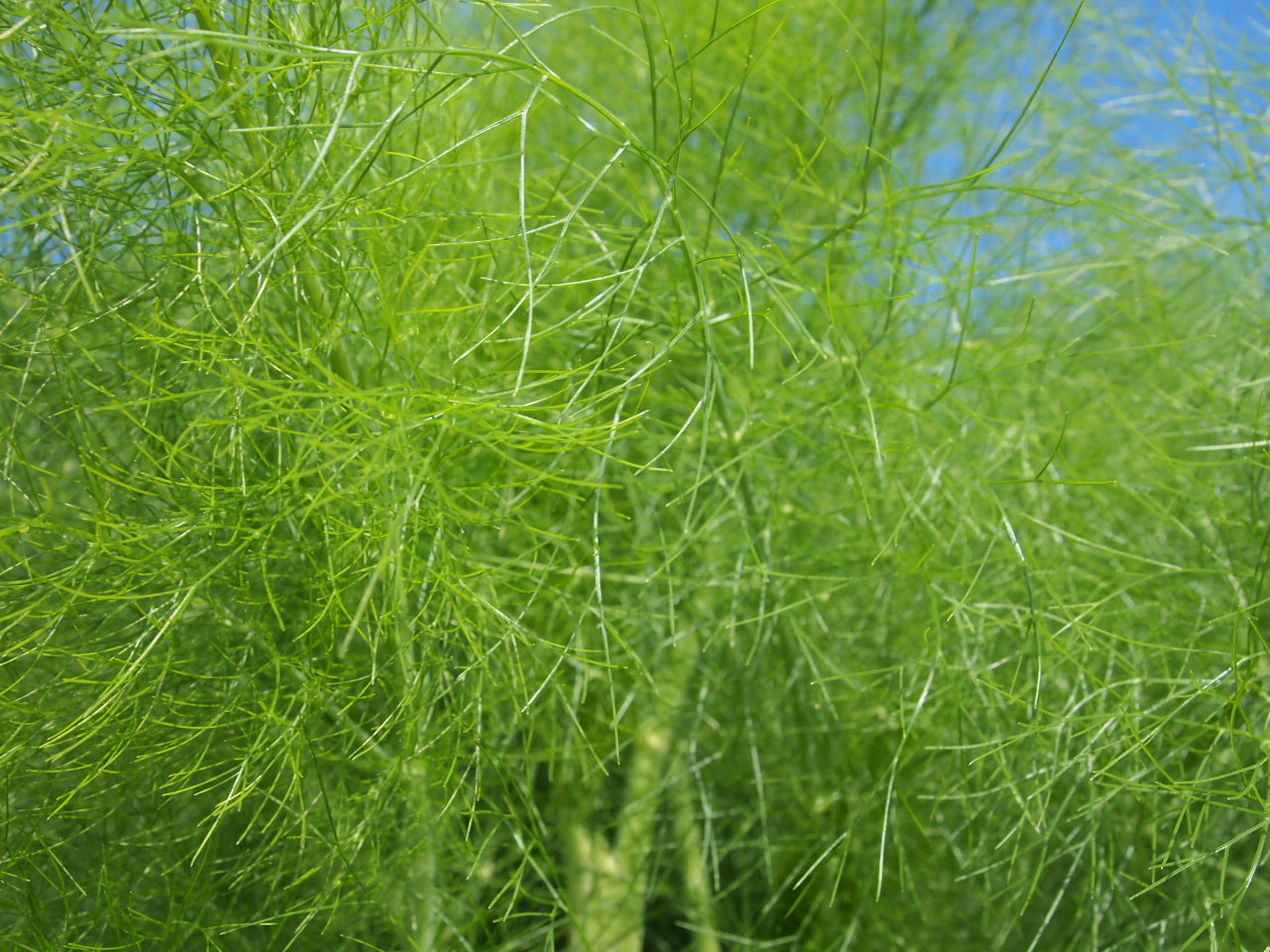 c0223508_11410263.jpg