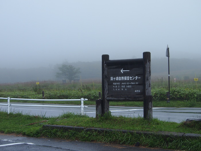 番外編・諏訪大社、諏訪湖、霧ヶ峰・・・雨　’14/09/01_d0048812_10281010.jpg