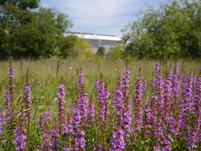 e0336214_13321657.jpg