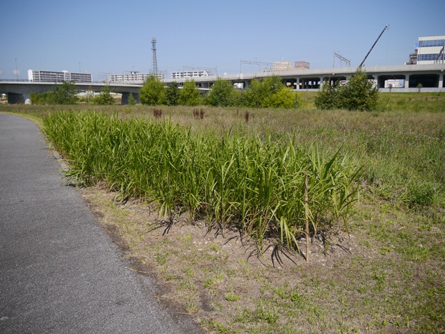 e0336214_13513035.jpg