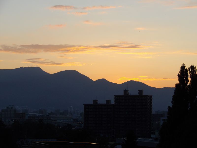 農場にはトンボがいっぱい_c0025115_19151340.jpg