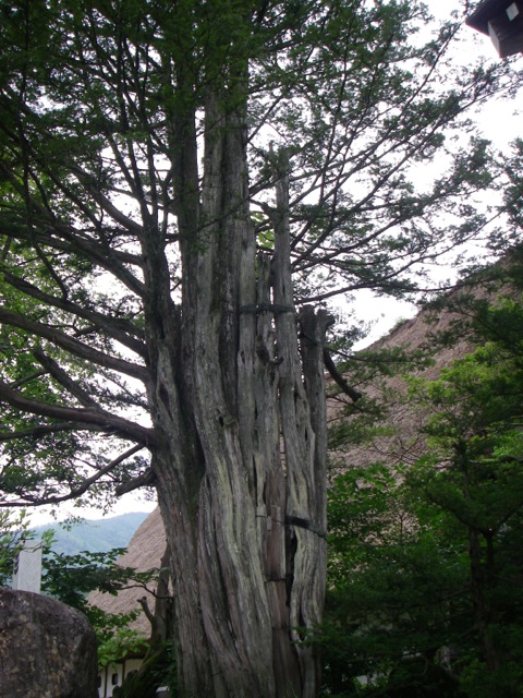 b0113219_01393148.jpg