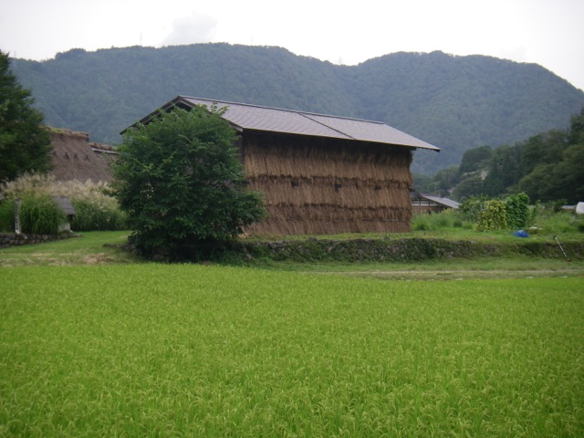 b0113219_01393152.jpg