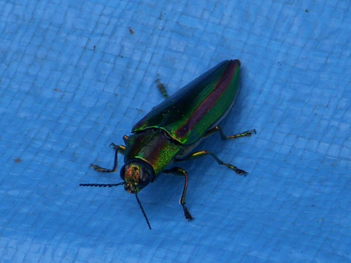 f0260120_2214786.jpg