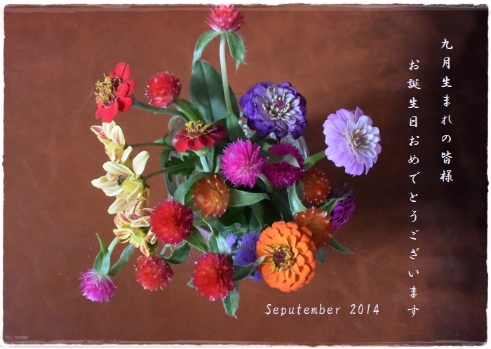 ９月生まれの皆様 お誕生日おめでとうございます カワセミ 秋の花 14 9 2 むっちゃんの花鳥風月 鳥 猫 花 空 山